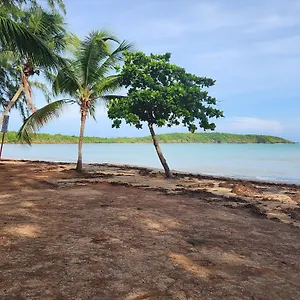 https://beautiful-caribbean-waters-7-seas-beach-el-yunque-icacos-island.top-hotels-puertorico.com